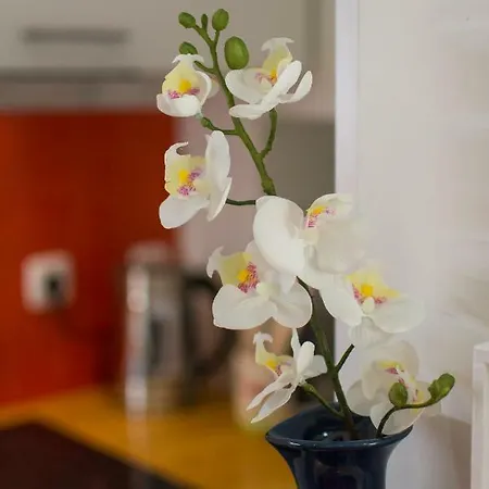 Apartament Allfado Lizbona